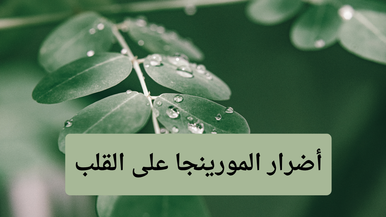 أضرار المورينجا على القلب