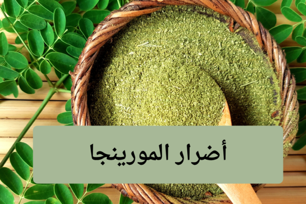 تعرف على أضرار المورينجا