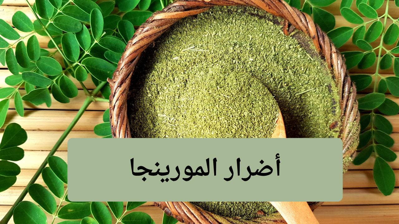 تعرف على أضرار المورينجا