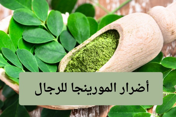 أضرار المورينجا للرجال