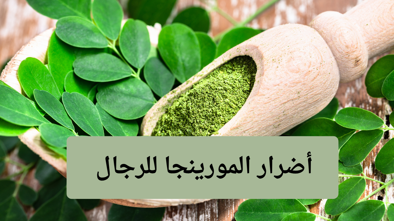 أضرار المورينجا للرجال